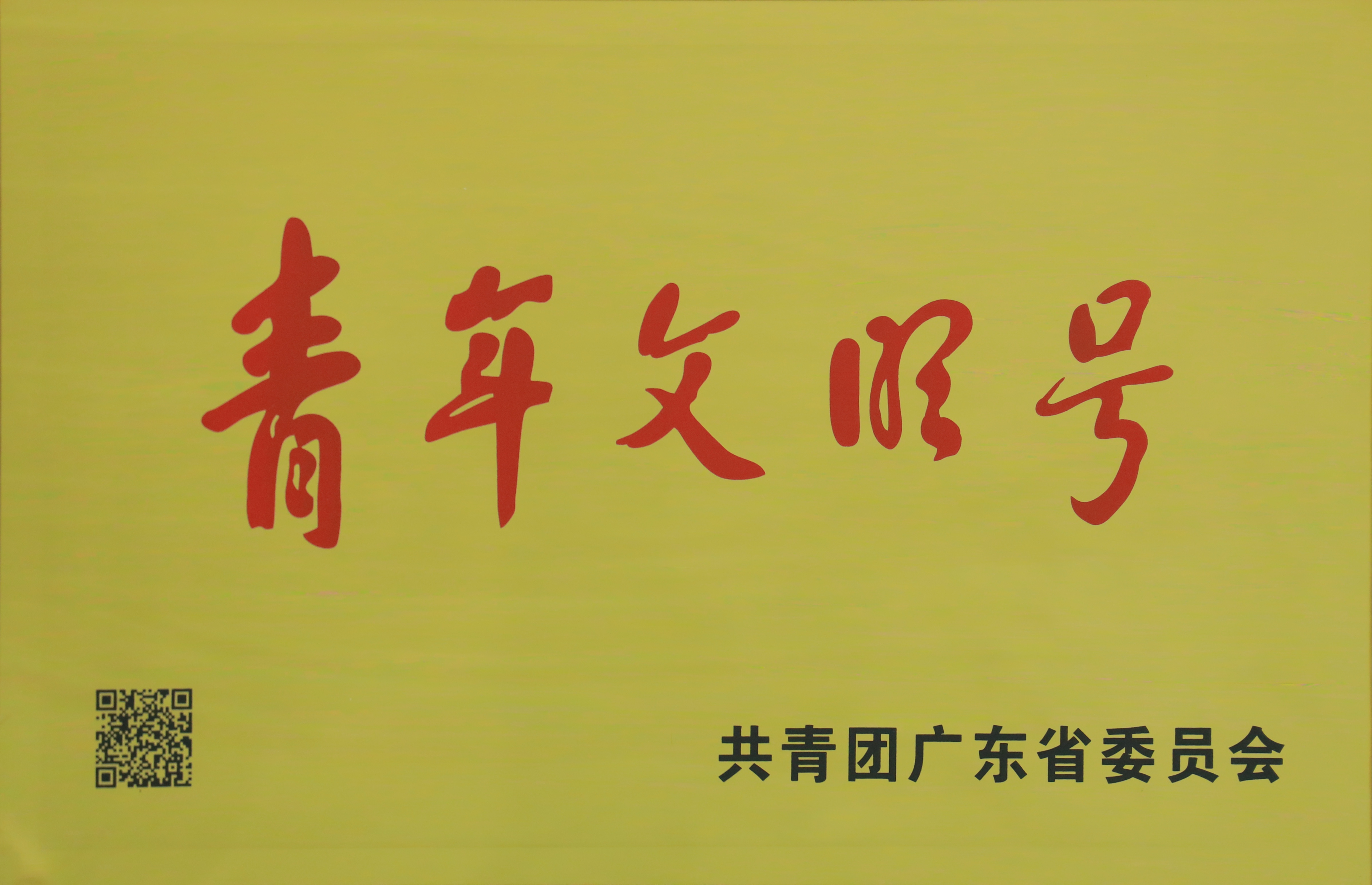 擎旗奮進，用服務(wù)吹響“青年文明號”號角
